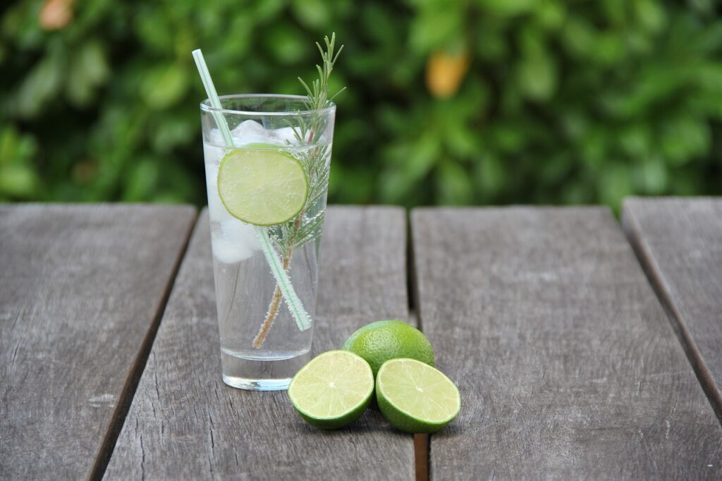 A glass of gin and tonic with ice and lemons